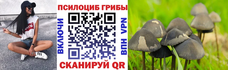 Псилоцибиновые грибы Magic Shrooms Чебоксары