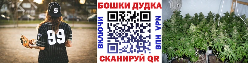 где продают   Чебоксары  Бошки Шишки ГИДРОПОН 